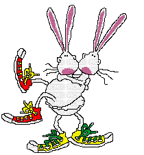 rabbit duo - Бесплатный анимированный гифка