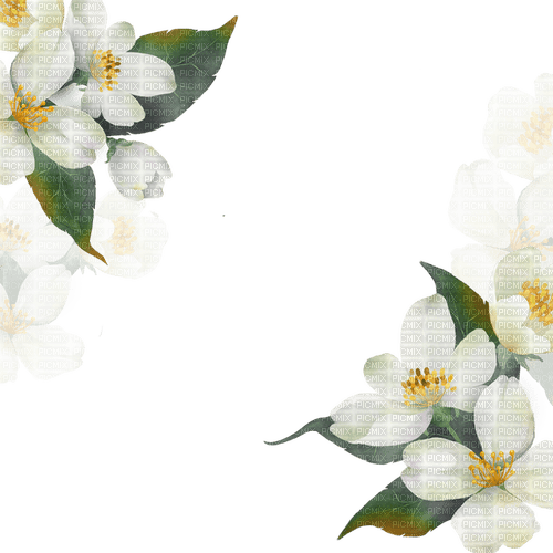 white floral border Bb2 - PNG gratuit