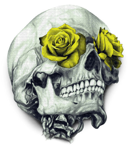 Y.A.M._Gothic skull - Free PNG