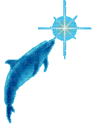 star dolphin - Free animated GIF
