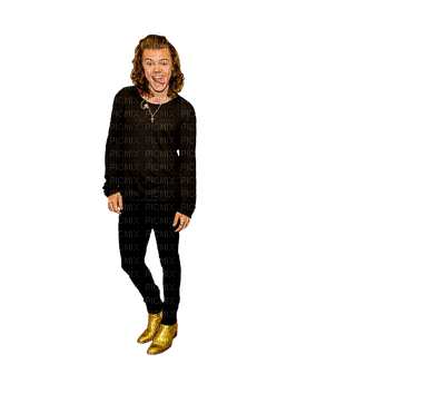 Kaz_Creations Harry Styles One Direction Singer Band Music - png gratuito