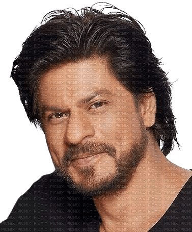 gala Shahrukh Khan - besplatni png