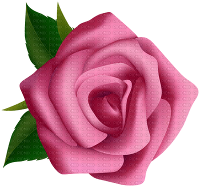 Fleur rose.Cheyenne63 - nemokama png