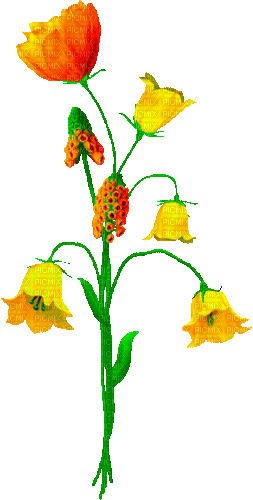 Animated.Flowers.Orange.Yellow - By KittyKatLuv65 - Darmowy animowany GIF