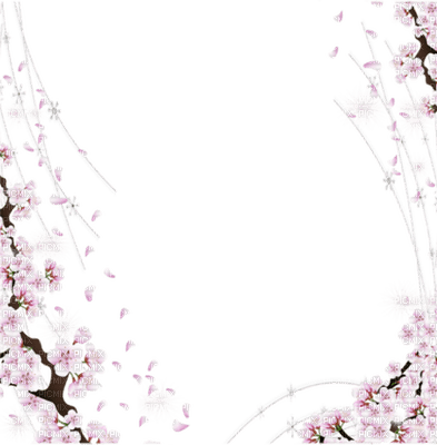 frame cadre flowers - 無料png