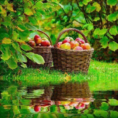 Basket of Fruit under Green Tree - gratis png