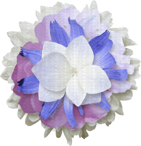 dolceluna flower white blue purple - Free PNG