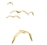gaviotas dorados gif dubravka4 - 無料のアニメーション GIF