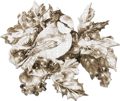 soave deco vintage winter christmas branch holly - bezmaksas png
