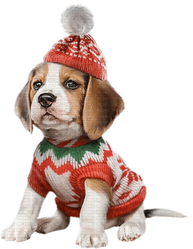 Dog, Hund, Weihnachten - png gratuito