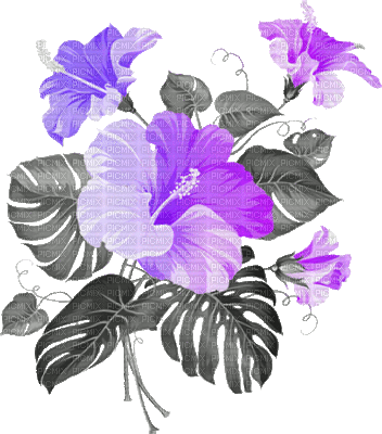 soave deco animated flowers summer tropical branch - Darmowy animowany GIF