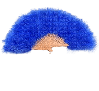 feathers fan - png gratuito