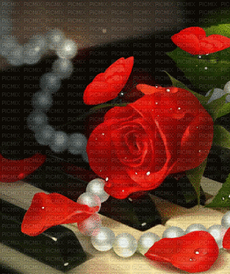 Rosa y mariposas - GIF animate gratis