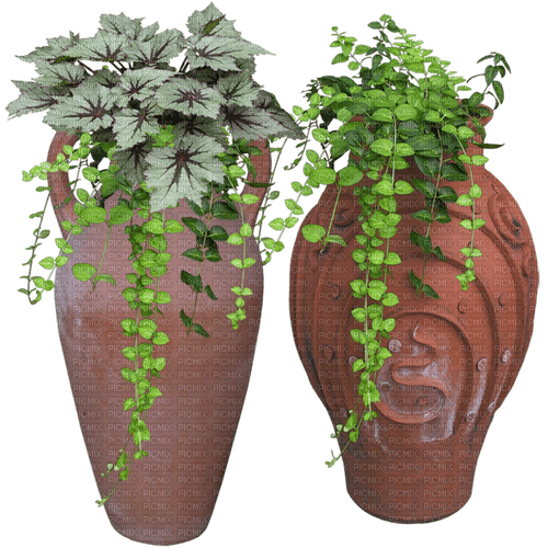 Bloemen en Planten - 免费PNG