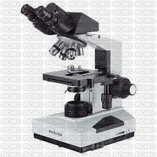 mikroskop - bezmaksas png