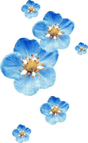 flowers_Blue DREAM - kostenlos png