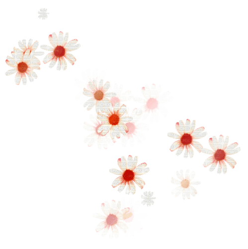 Red scarlet white flowers deco [Basilslament] - PNG gratuit
