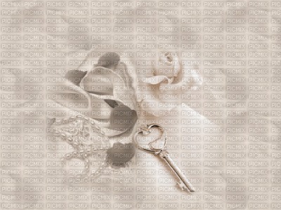 fond mariage - 免费PNG