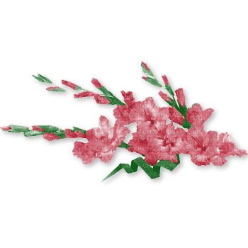 fleurs - Free PNG