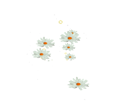 dulcineia8 flores - GIF animate gratis