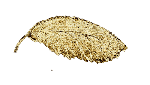Gold Leaf - Bogusia - ücretsiz png