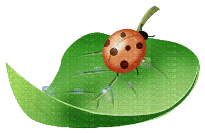 листьягуля - Darmowy animowany GIF
