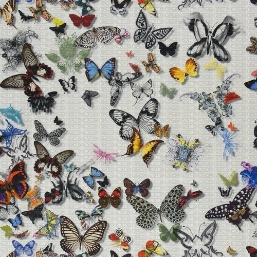 Background Butterfly - ücretsiz png