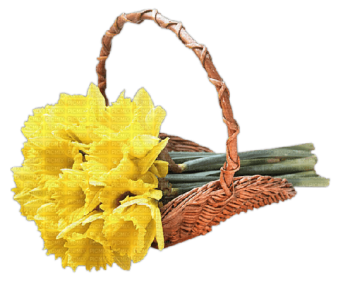 Bloemen in mandje - PNG gratuit