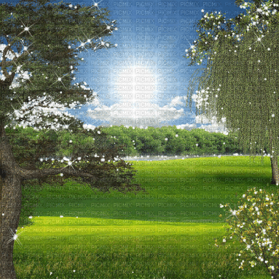 animated background tree nature - Gratis geanimeerde GIF