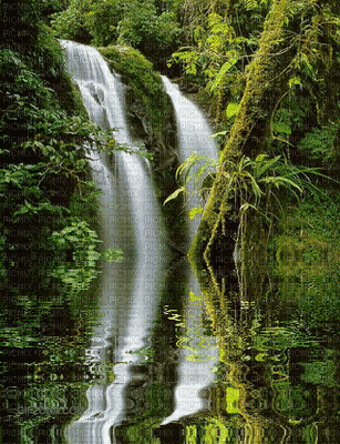 waterfall  by nataliplus - GIF animé gratuit