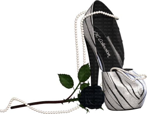 Zapato de mujer ,rosa negra y collar - PNG gratuit