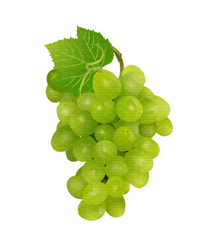 Виноград - фрее пнг