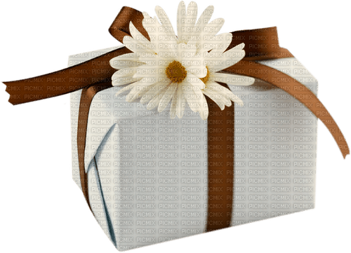 Cadeau 📦 - бесплатно png