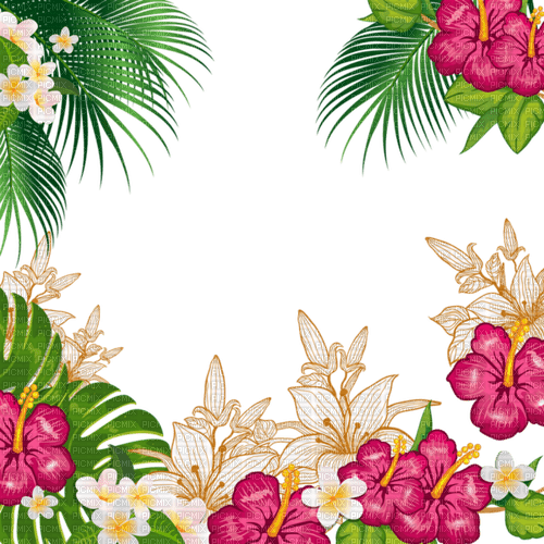tropical palm flowers red green frame - besplatni png