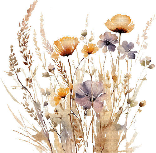 ♥❀❀❀❀ flowers gif poppy nature deco - Безплатен анимиран GIF