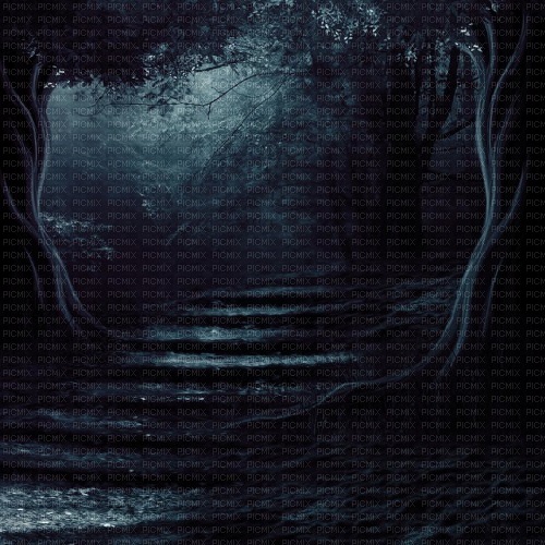 GOTHIC FOREST BG GOTHIQUE FORET FOND - Free PNG