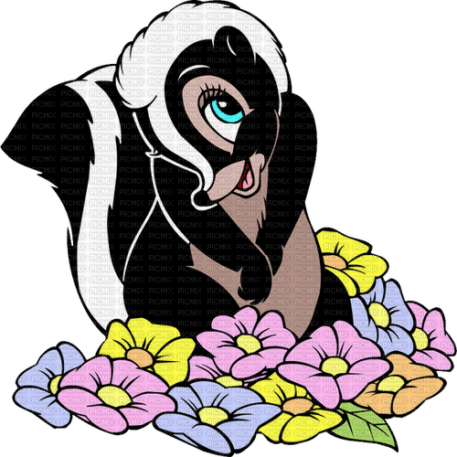 skunk by nataliplus - bezmaksas png