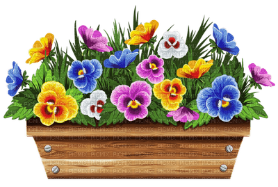 Kaz_Creations Flowers Flower Box - PNG gratuit