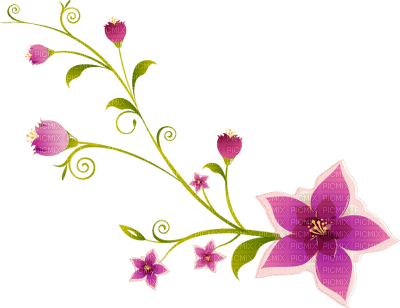purple flowers - bezmaksas png