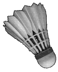 badminton - Darmowy animowany GIF