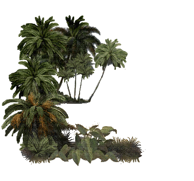 tub arbre - Zdarma animovaný GIF
