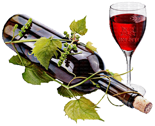 Wino Red Grapes Gif - Bogusia - Nemokamas animacinis gif