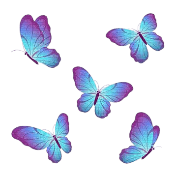 butterflies - nemokama png