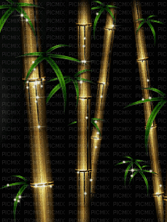 bamboo - GIF animado gratis