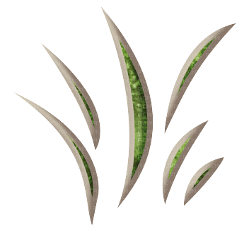 deco grass - Free PNG