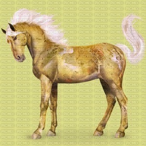 cheval Io - darmowe png