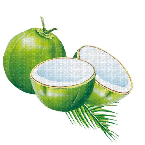 coconut Bb2 - 免费PNG