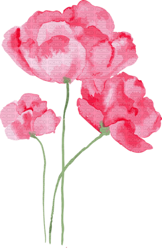watercolor pink flowers Bb2 - besplatni png