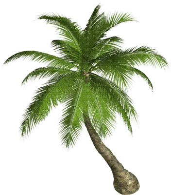 palm_paume_Blue DREAM 70 - 免费PNG