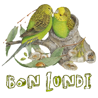 Bon lundi avec les oiseaux - Бесплатный анимированный гифка